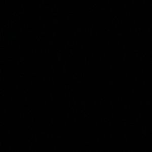 Meet your Posher, Meagan